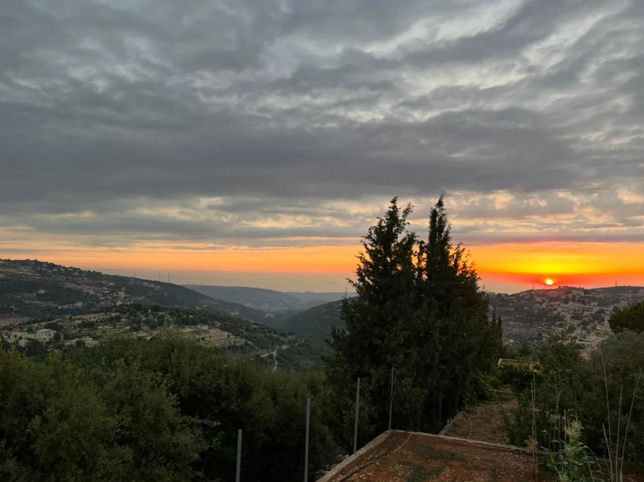 assia views